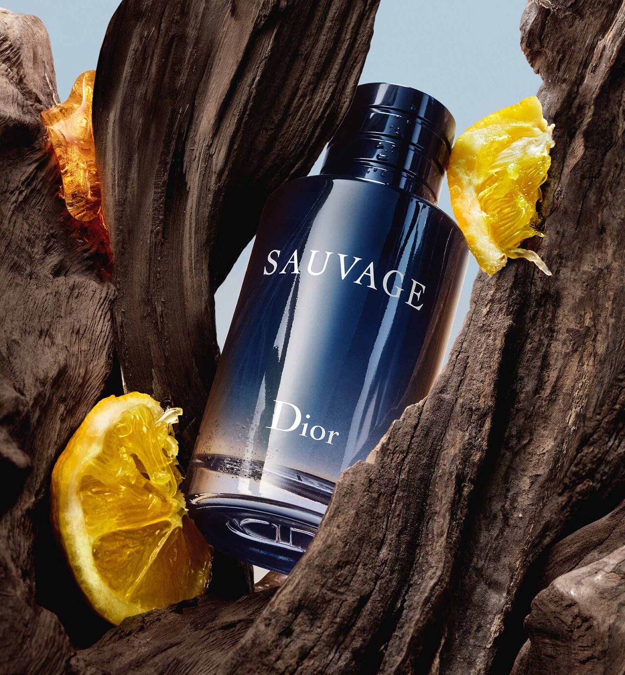 Dior Sauvage EDP